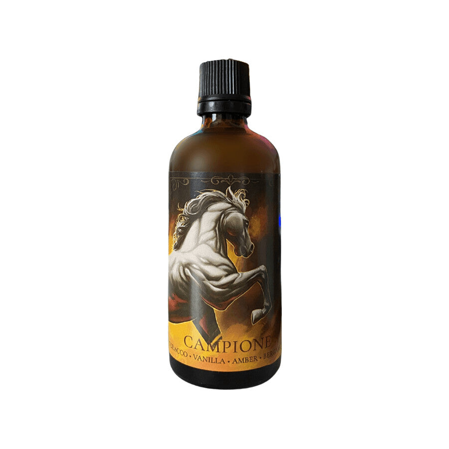 Bartigan & Stark Campione After Shave Splash